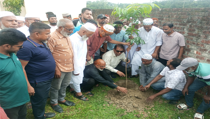 বগুড়ার শাখারিয়া আলিম মাদরাসায় বৃক্ষরোপণ কর্মসূচি